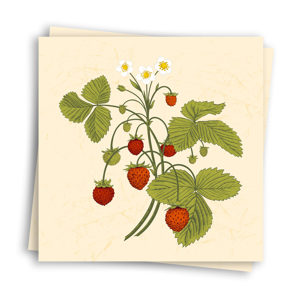 Strawberry Vintage Tile Sticker - TS-002-25