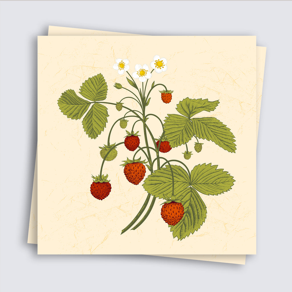 Strawberry Vintage Tile Sticker - TS-002-25